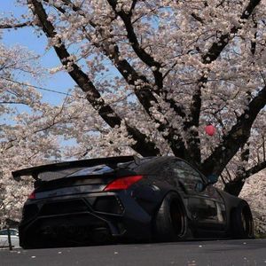 Rasster-Djara（Alpha / Kira remix）