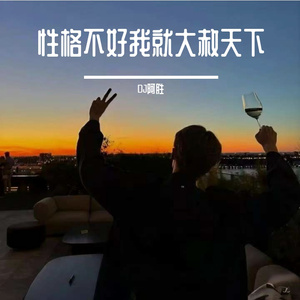 性格不好我就大赦天下DJ