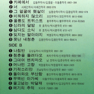 울릉도 트위스트