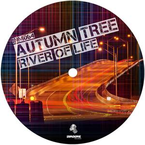 River Of Life (Original mix)