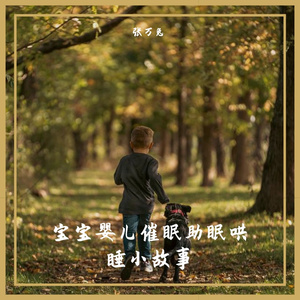 婴儿哄睡催眠神曲嘘嘘声助眠（加长版）