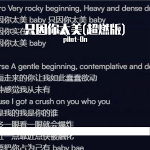 只因你太美(超燃版)