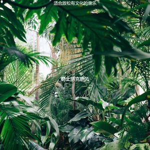 适合静止浪漫的音乐