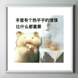 河南小妮想吃馍