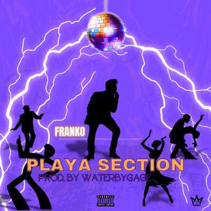 Playa Section