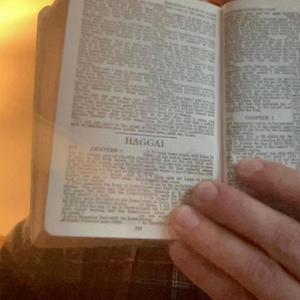 Fear Thee Not (Haggai 2)