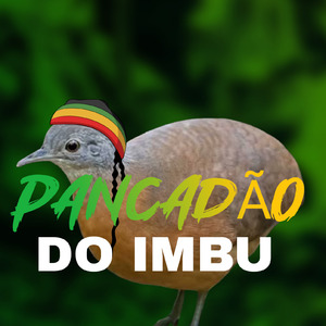 PANCADÃO DO IMBU (Remix)