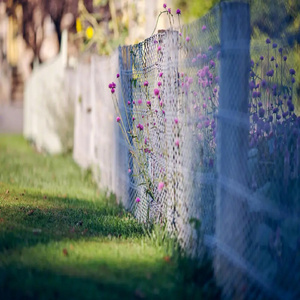 森暖 (减压音乐)