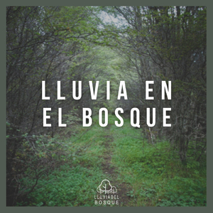 Lluvia en el Bosque, Pt. 01