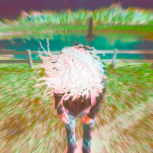 Lose (feat. Ladeftw, 6evermir & 6ixk66)