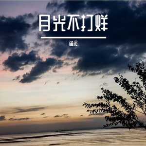 月光不打烊