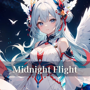 Midnight Flight