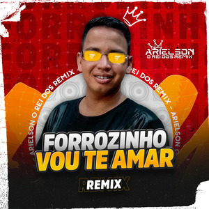 Forrozinho Vou te Amar (Remix)