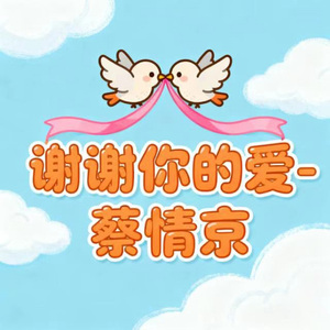 谢谢你的爱 (DJ沈念版)