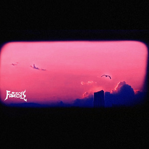 匿迹者 Vanish in Sight