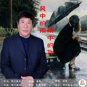 风中的雨雨中的你 -笛哥