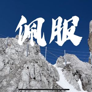 佩服（charmer remix）