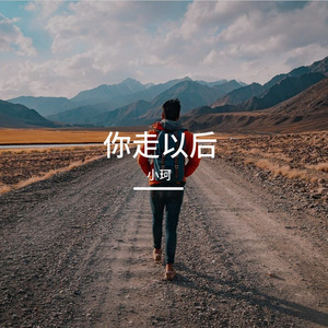 你走以后