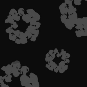 Racks On They Head !