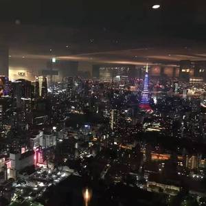 不想懂得（翻自 张韶涵）