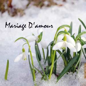 Spring Waltz (Mariage d'Amour Frédéric Chopin)