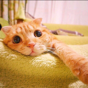 NF-Time（一只鸡脖鸭 remix）