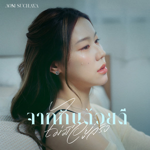 จากกันด้วยดี (ไม่มีอยู่จริง)