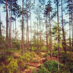 Passenger（Prod by 漱一（Kumark））