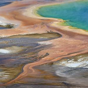 花,太阳，彩虹，你