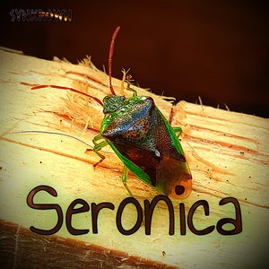 Seronica
