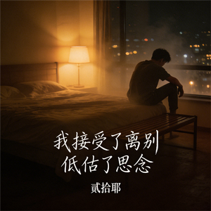 我接受了离别 低估了思念