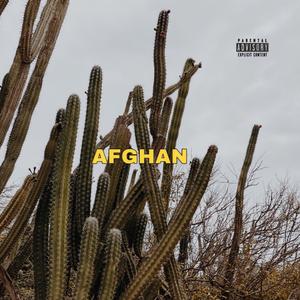 Afghan