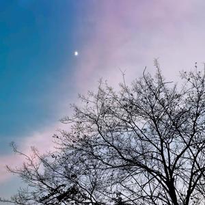 啊啊啊啊啊啊啊