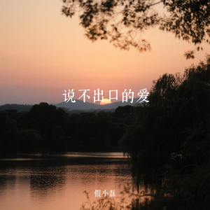 说不出口的爱