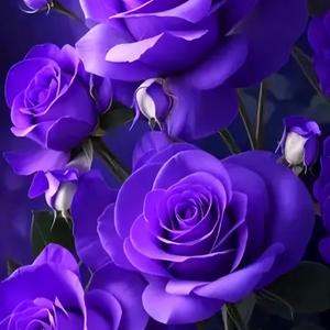 You Couldn't Be More Wrong