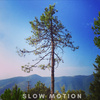 Sam FranDisco - Slow Motion