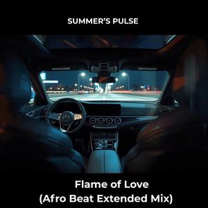 Flame of Love (Afro Beat Extended Version)