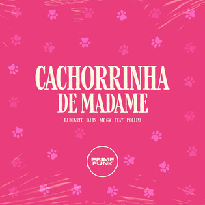 Cachorrinha de Madame