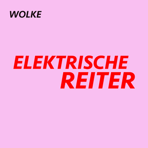 Elektrische Reiter