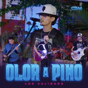Olor A Pino
