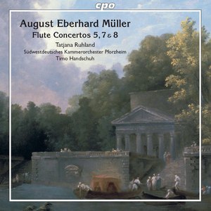 Flute Concerto No. 7 in D Minor, Op. 22: III. Allegro