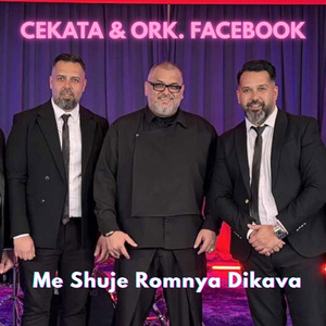 Me Shuje Romnya Dikava