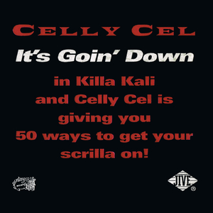 It's Goin' Down (Fo Sheezy Instrumental)