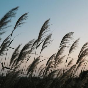 潮起潮落诉沧桑