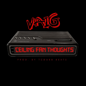 Ceiling Fan Thoughts