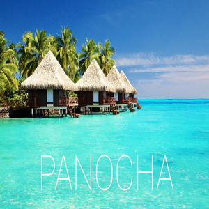 Panocha