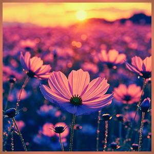 野生の花("Wildflowers")