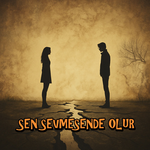 SEN SEVMESENDE OLUR