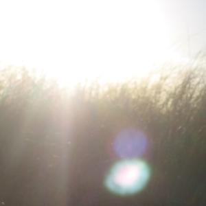 Where Do I Go From Here