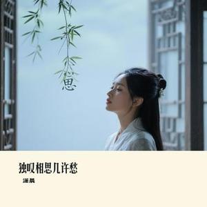 独叹相思几许愁 (潇晨 Remix)